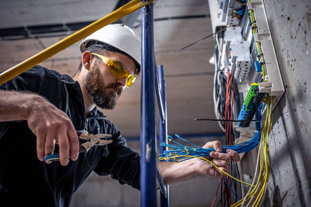 Best Local Electrician Companies  in Clayton, NJ